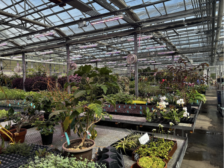 Reiman Gardens: Buy a plant to support an Iowa State, Story County program